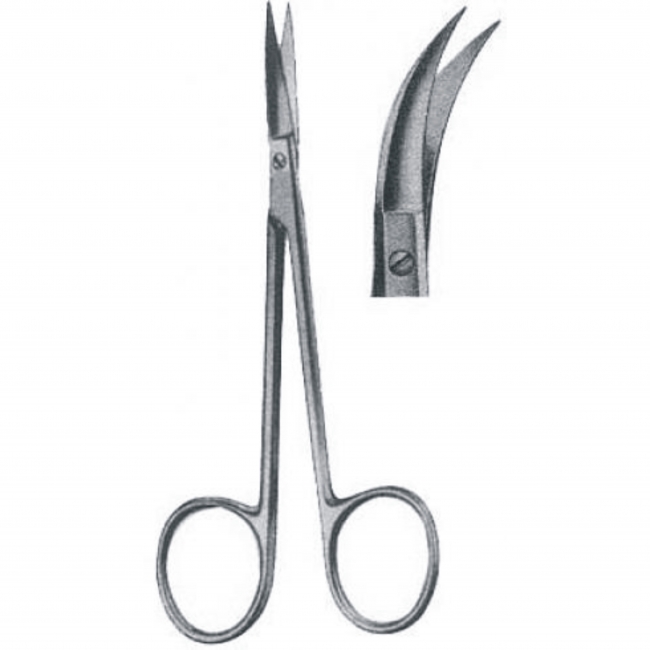 Dental Scissors