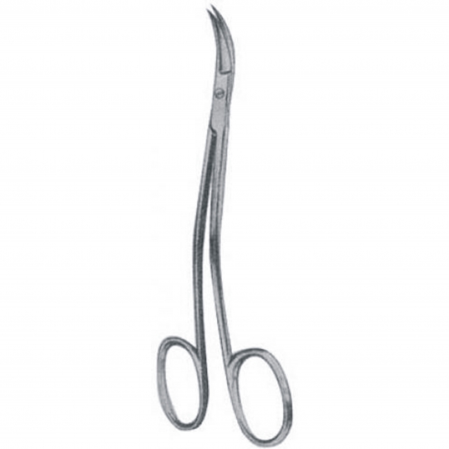 Dental Scissors