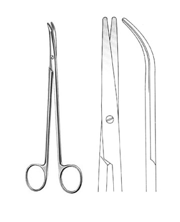 DISSECTING SCISSORS