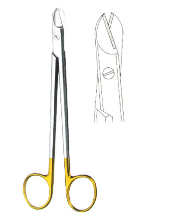 SCISSORS WITH TUNGSTEN CA