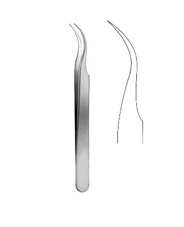 TISSUE FORCEPS