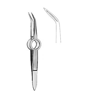 CILIA FORCEPS