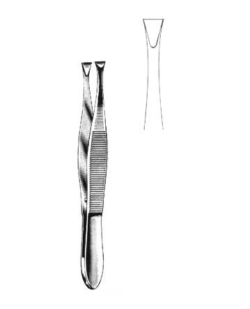 CILIA FORCEPS