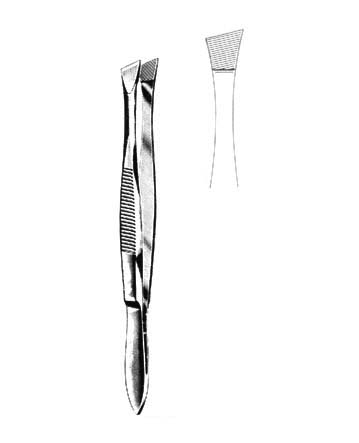 CILIA FORCEPS