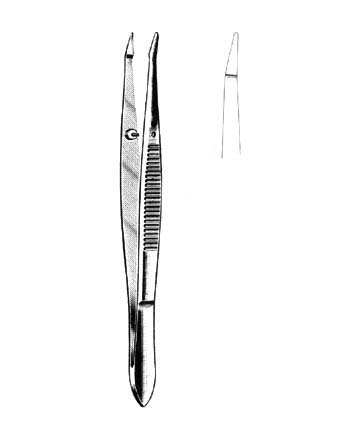 CILIA FORCEPS