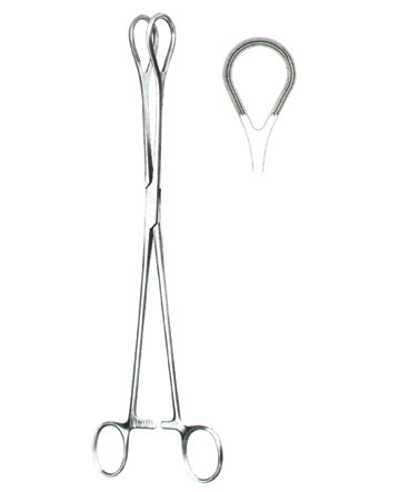 TISSUE & ORGAN HOLDING FORCEPS