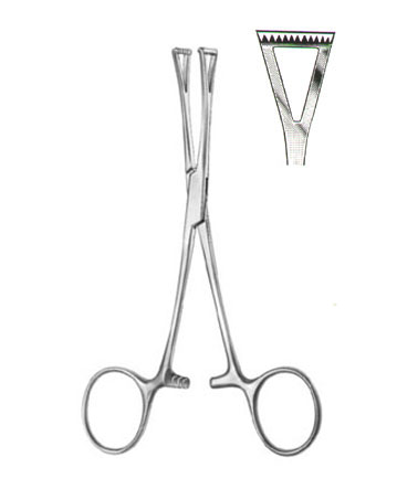 TISSUE AND ORGAN HOLDING FORCEPS