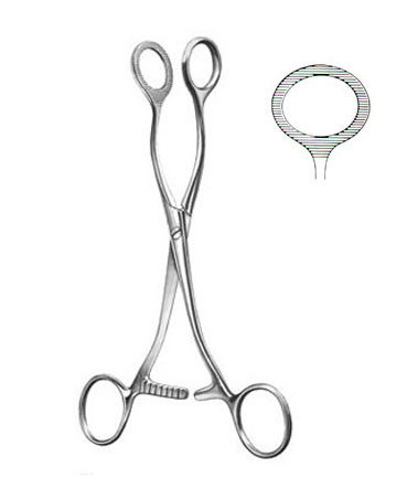 TISSUE AND ORGAN HOLDING FORCEPS