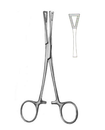 TISSUE AND ORGAN HOLDING FORCEPS