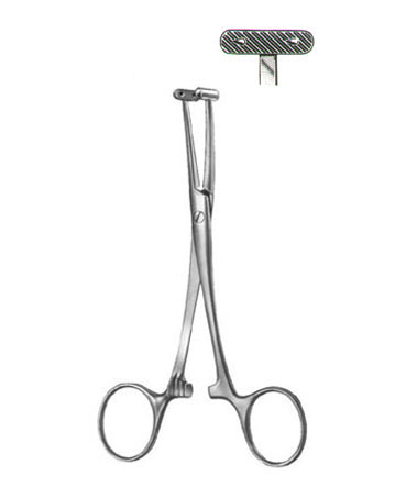 TISSUE AND ORGAN HOLDING FORCEPS