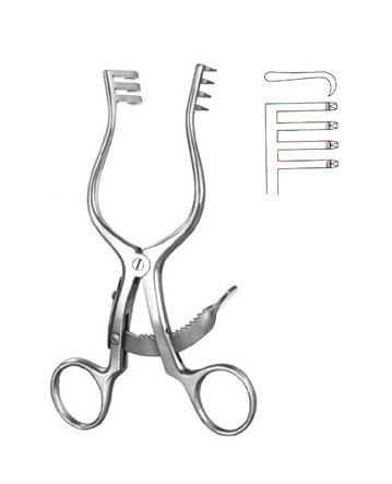 Scalp-Contour, (3 x 4 tee