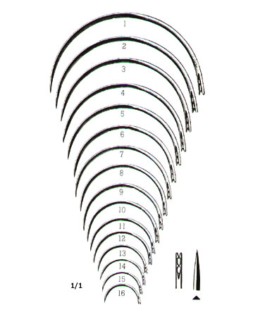 MUSCULAR AND SKIN SUTURE, INTESTINAL SUTURE