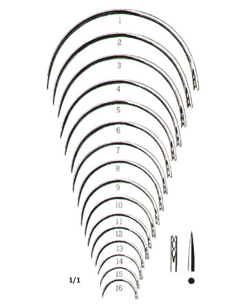 MUSCULAR AND SKIN SUTURE, INTESTINAL SUTURE