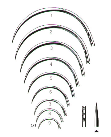 MUSCULAR AND SKIN SUTURE, INTESTINAL SUTURE