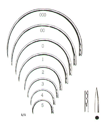 MUSCULAR AND SKIN SUTURE, INTESTINAL SUTURE