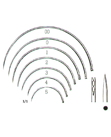 MUSCULAR AND SKIN SUTURE, INTESTINAL SUTURE