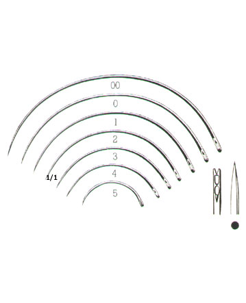 MUSCULAR AND SKIN SUTURE, INTESTINAL SUTURE