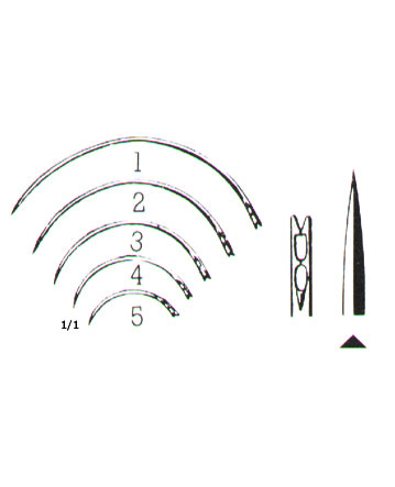 MUSCULAR AND SKIN SUTURE