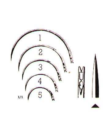 MUSCULAR AND SKIN SUTURE