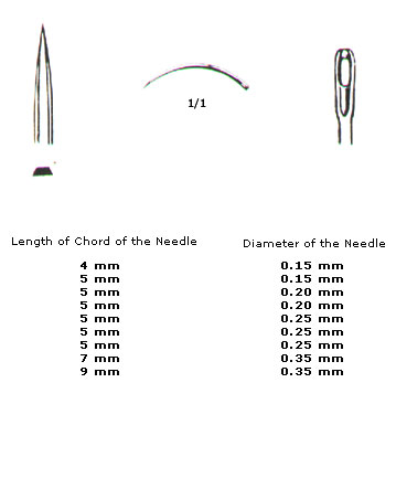 MUSCULAR AND SKIN SUTURE