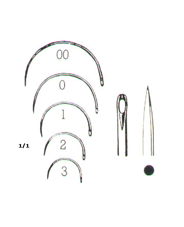 MUSCULAR AND SKIN SUTURE