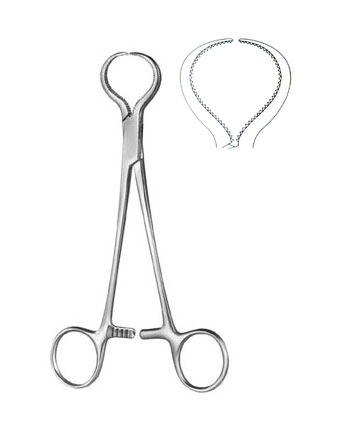 BONE HOLDING FORCEPS