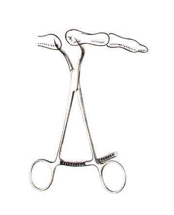 BONE HOLDING FORCEPS