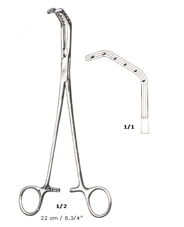 BRONCHUS FORCEPS