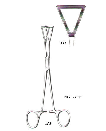 TISSUE & ORGAN HOLDING FORCEPS