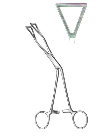 TISSUE & ORGAN HOLDING FORCEPS