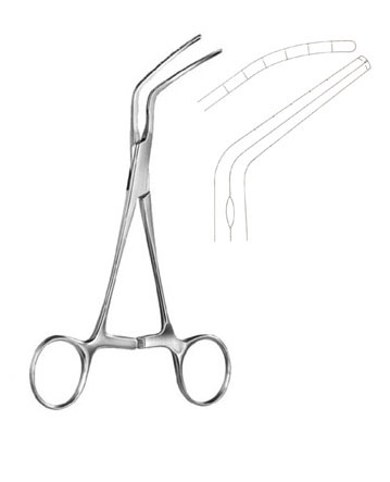 Subramanian, Aortic clamp