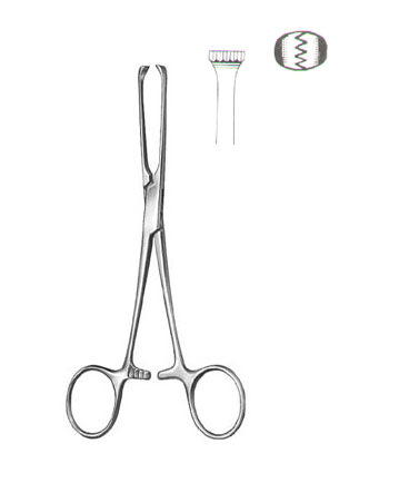 TISSUE & ORGAN HOLDING FORCEPS