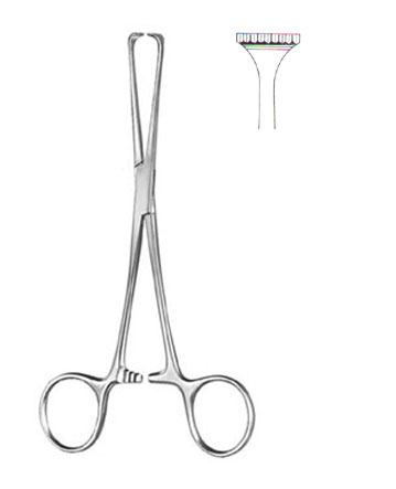 TISSUE & ORGAN HOLDING FORCEPS