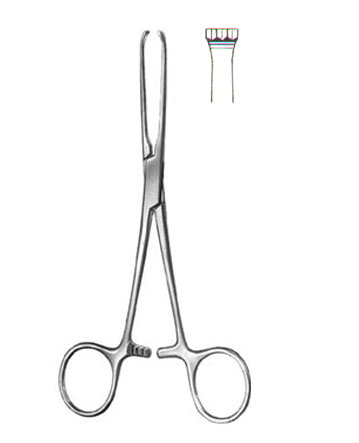 TISSUE & ORGAN HOLDING FORCEPS