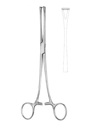 TISSUE & ORGAN HOLDING FORCEPS