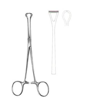 TISSUE & ORGAN HOLDING FORCEPS