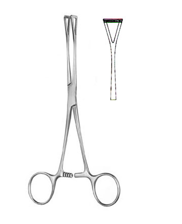 TISSUE & ORGAN HOLDING FORCEPS