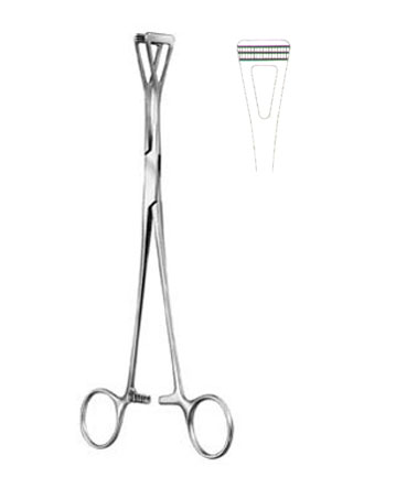 TISSUE & ORGAN HOLDING FORCEPS