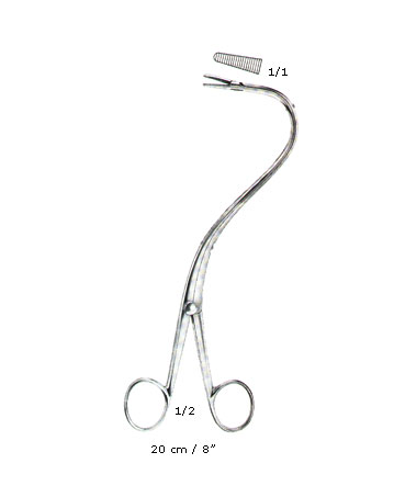 NEPHROSTOMY FORCEPS