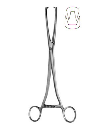 TENACULUM FORCEPS