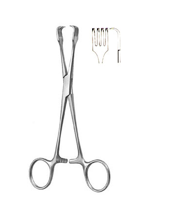 TENACULUM FORCEPS