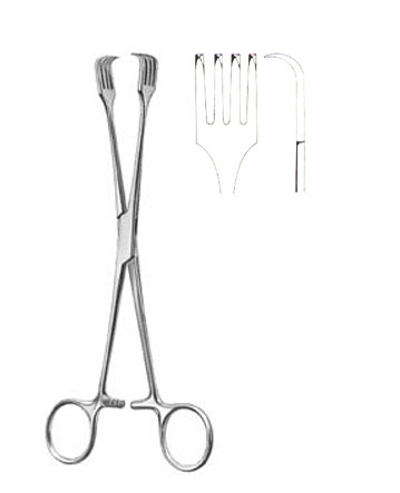 TENACULUM FORCEPS