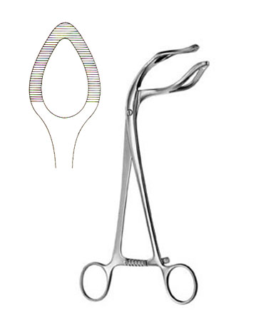 UTERINE ELEVATING FORCEPS