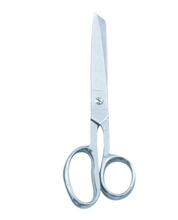 Taylor Scissor