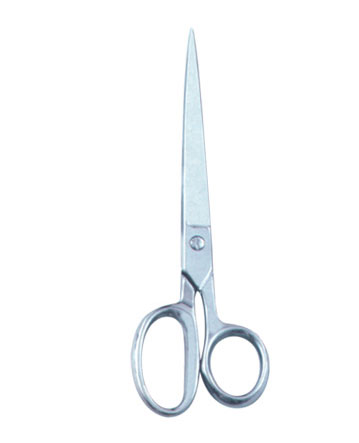 Taylor Scissor