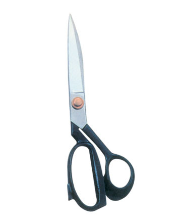 Taylor Scissor