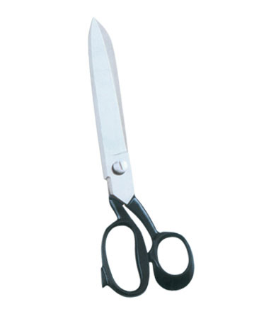 Taylor Scissor