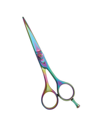 Professional Hair Cutting Scissor