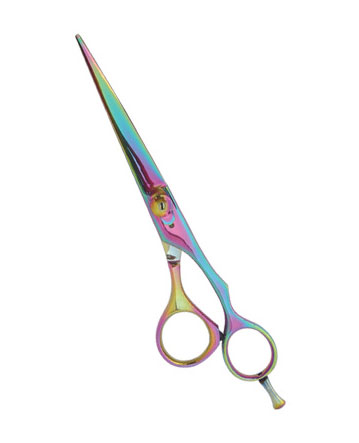 Professional Hair Cutting Scissor