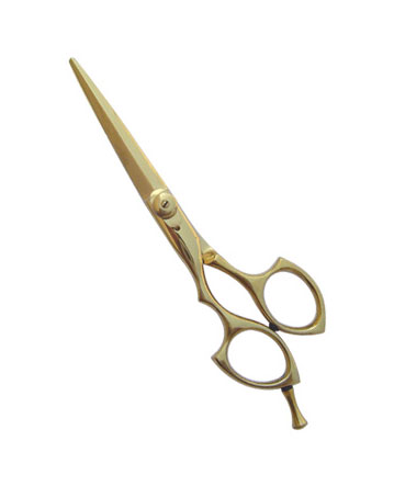 Professional Hair Cutting Scissor